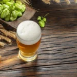 Levadura silvestre bajo microscopio usada para desarrollar cervezas funcionales con ornitina