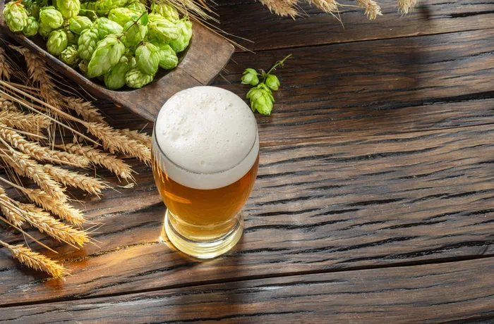 La levadura silvestre y la genómica crean cervezas con ornitina sin modificación genética 1 Levadura silvestre bajo microscopio usada para desarrollar cervezas funcionales con ornitina
