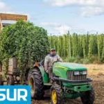 El Bolsón exportó lúpulo a Inglaterra por primera vez y abre una puerta a la producción patagónica