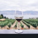 Qué es el título Master Sommelier y por qué muy pocos logran