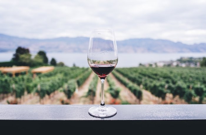 Qué es el título Master Sommelier y por qué muy pocos logran