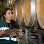 Vinedos chilenos en la region del Maule – produccion vino Chile 2026 segun informe SAG