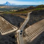 Viñedos arrasados por el incendio en la Sierra de Gredos, Ávila, con humo al fondo