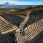 Solastalgia en la viña: lo que el fuego deja en el viticultor cuando el paisaje de su vida arde 3 Viñedo afectado por el humo de un incendio forestal con niebla densa sobre los viñedos