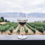 Uvas híbridas, la respuesta del vino al cambio climático