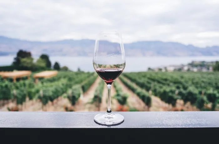 Uvas híbridas, la respuesta del vino al cambio climático