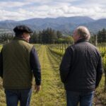 Vinas del Maule Chile debate sobre nueva categoria de vino de bajo alcohol y fiscalizacion SAG