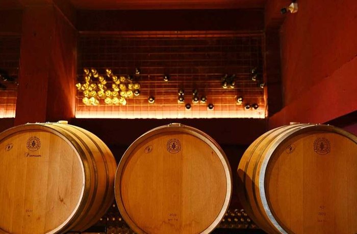 Brasil apuesta por China como mercado estratégico para sus vinos