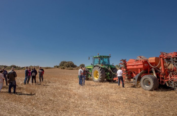 Cebada de agricultura regenerativa de Heineken e InterMalta en España