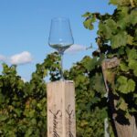 Copa de vino vacía sobre un poste de madera en un viñedo, en referencia al vino desalcoholizado