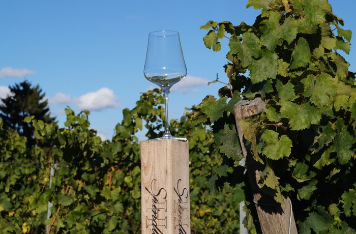 Copa de vino vacía sobre un poste de madera en un viñedo, en referencia al vino desalcoholizado