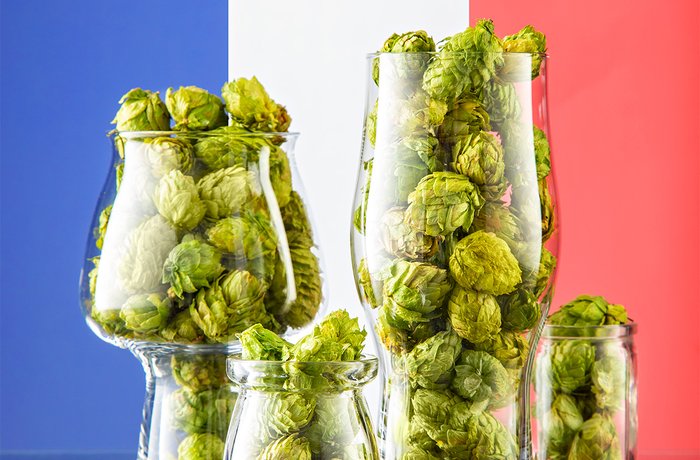 Copas de cerveza llenas de conos de lúpulo francés de Alsacia, con la bandera de Francia de fondo