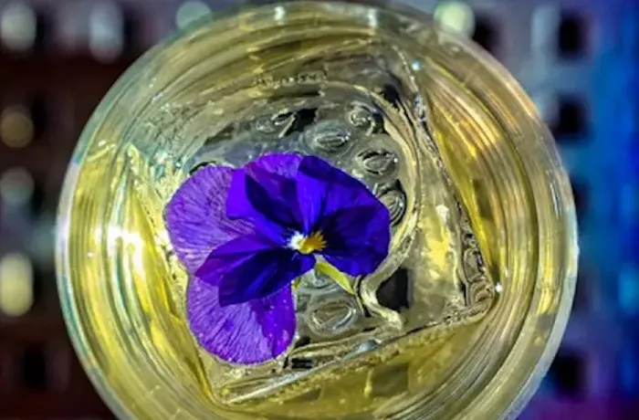 Mayan's Punch, cóctel clarificado de tequila con flor comestible, Barro Negro Atenas