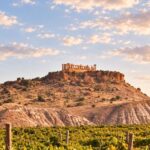 El Museo Arqueológico Nacional acoge una jornada sobre el legado histórico del vino