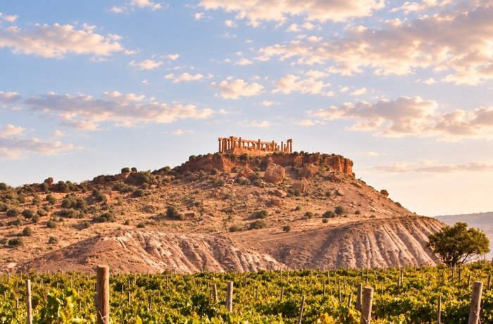 Jornada sobre el legado histórico del vino en el Museo Arqueológico Nacional de Madrid