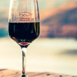 Vino a la Montaña: la feria de bodegas patagónicas vuelve en octubre a San Martín de los Andes