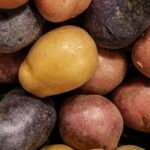Variedad de papas andinas, base del vino de papa peruano