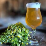 Cerveza histórica estilo Belgian Dubbel recreada en el Convento da Glória de Brasil